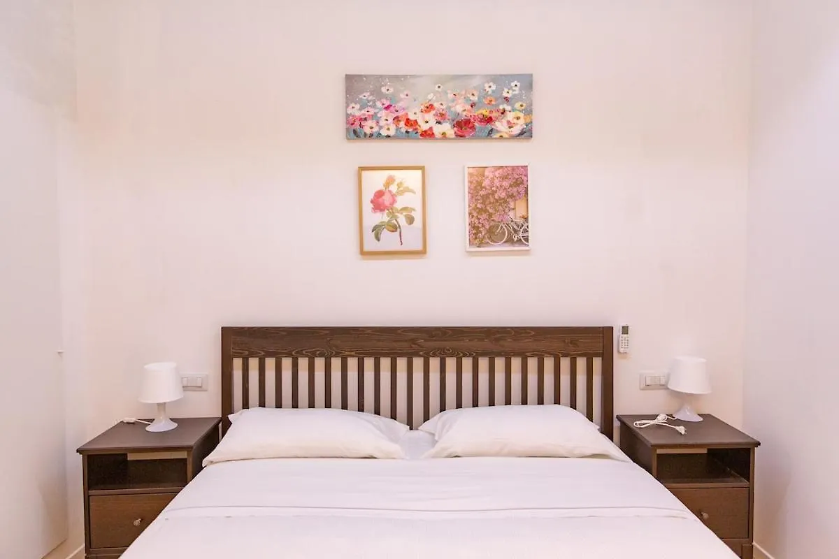 Charming & Modern Apartment Near Santo Spirito Florencia